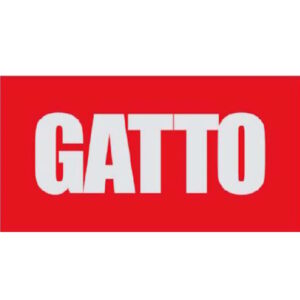 gatto